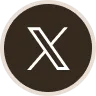 Monster Campfire x button