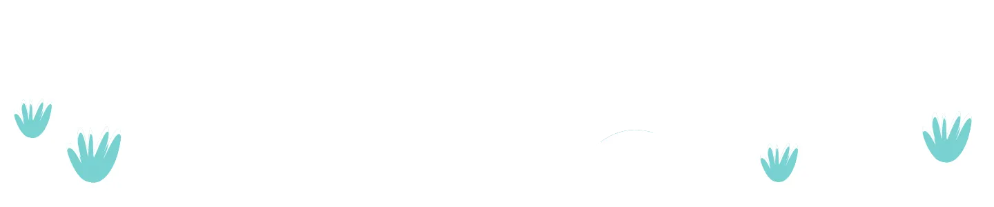 Transition Graphic Image