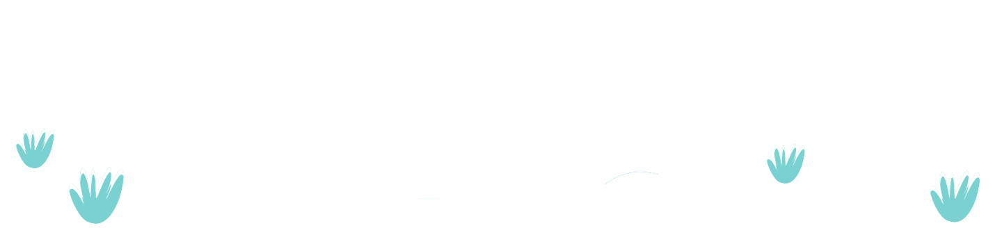 Alternative transition design for smooth page navigation