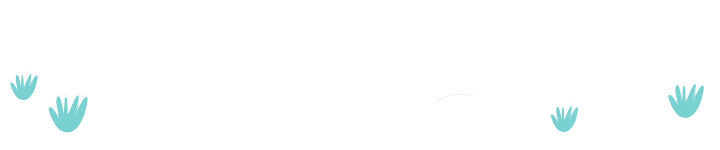 Transition Graphic Image